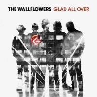 wallflowers_glad_all_over