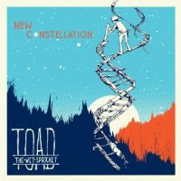 toad-new-constellation