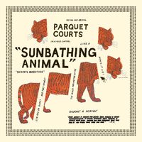 parquet_courts_sunbathing_animal